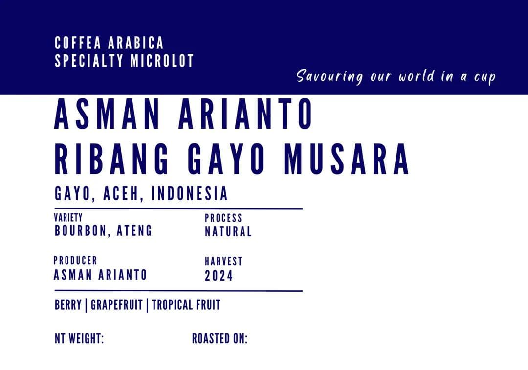 Image of Asman Arianto Ribang Gayo Musara