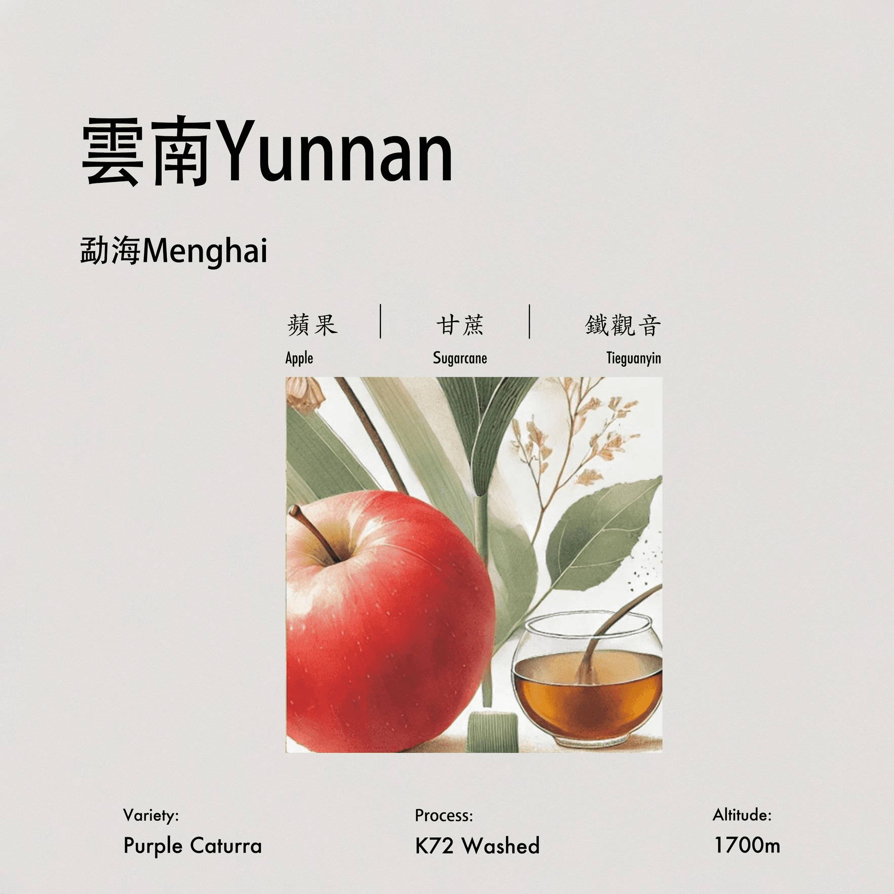 Image of Purple Catura Washed