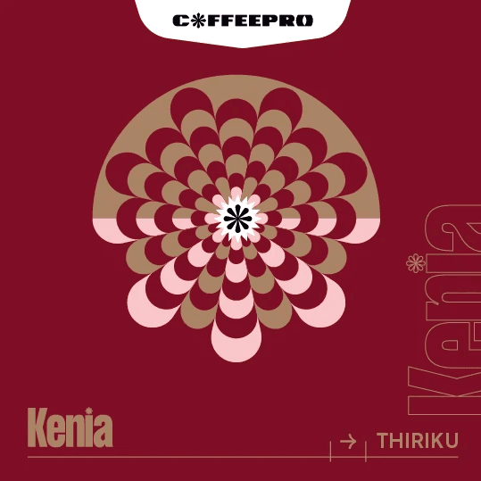 Image of Kenya Thiriku