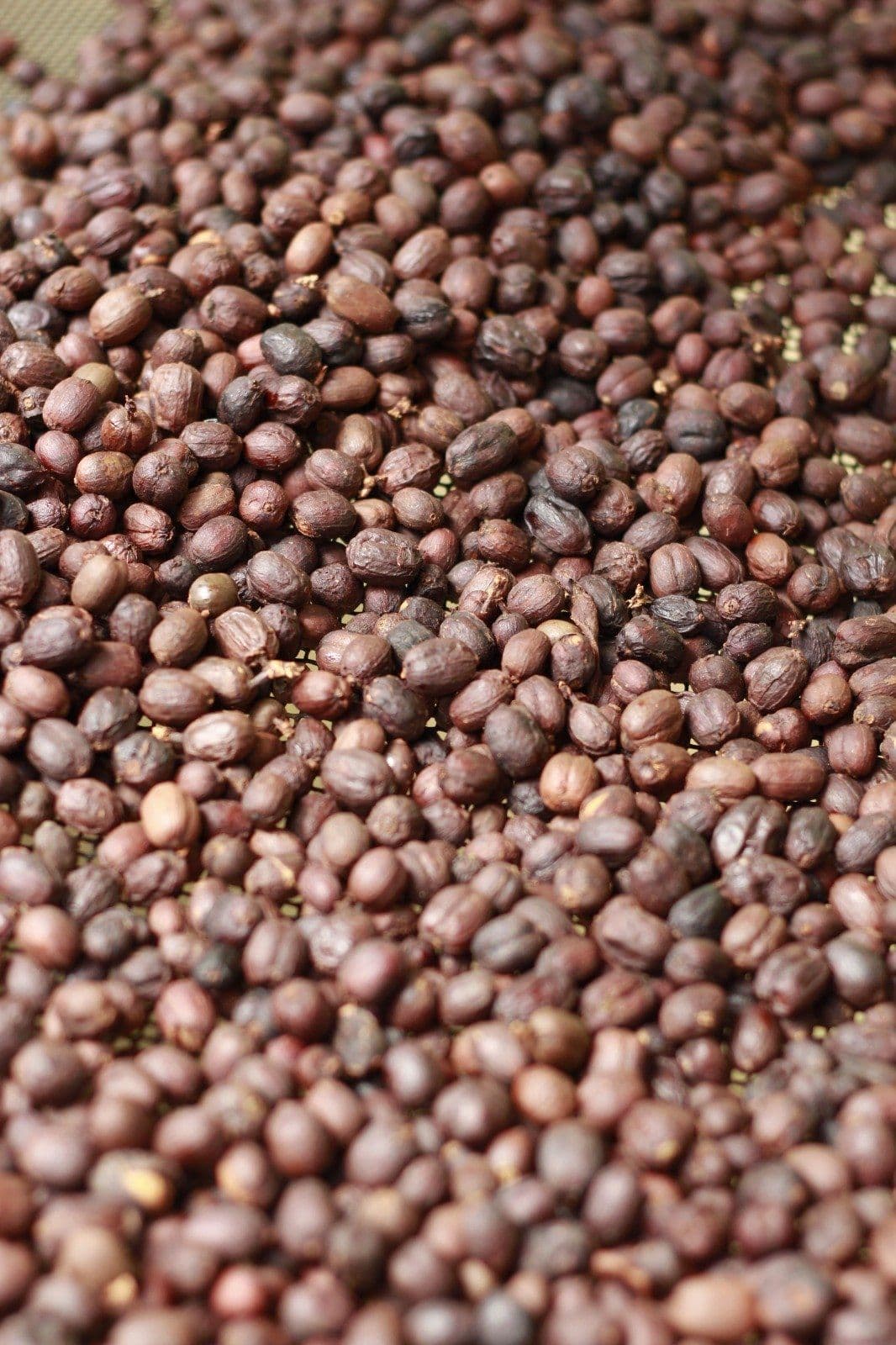 Image of 1700 Natural