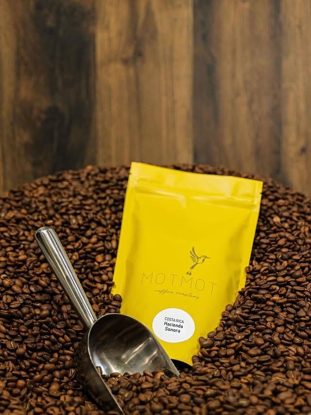 Image of Costa Rica  Hacienda Sonora