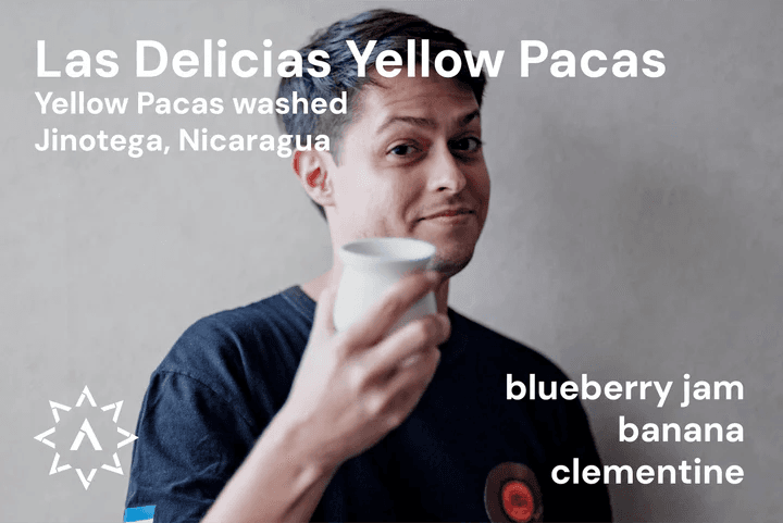 Image of Las Delicias Yellow Pacas