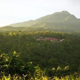 Image of Water-Process Decaf - Mexico-Chiapa