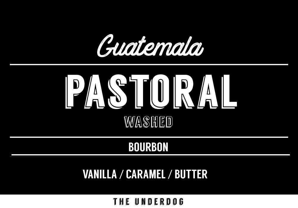 Image of Guatemala - Pastoral