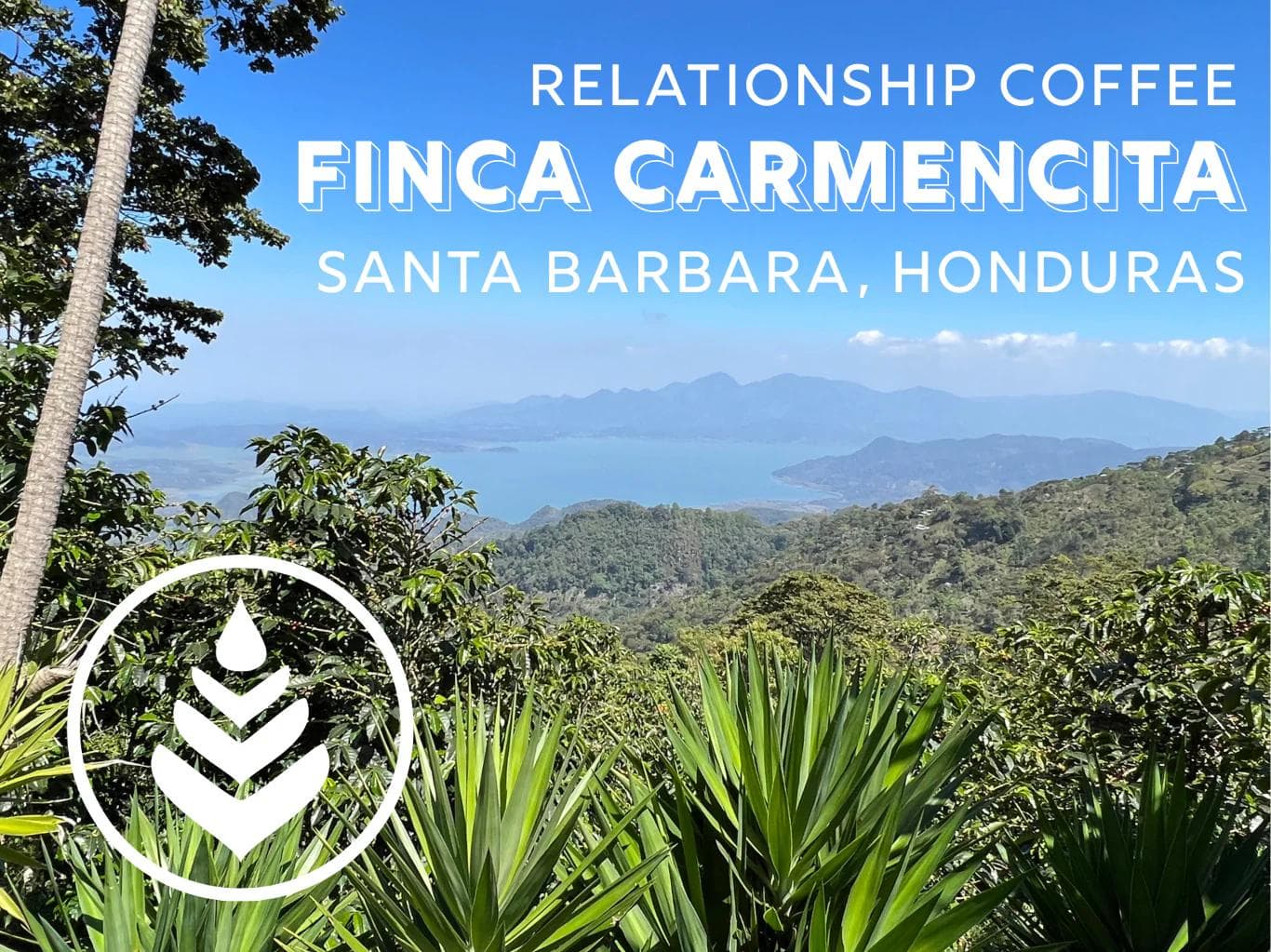 Image of Finca Carmencita