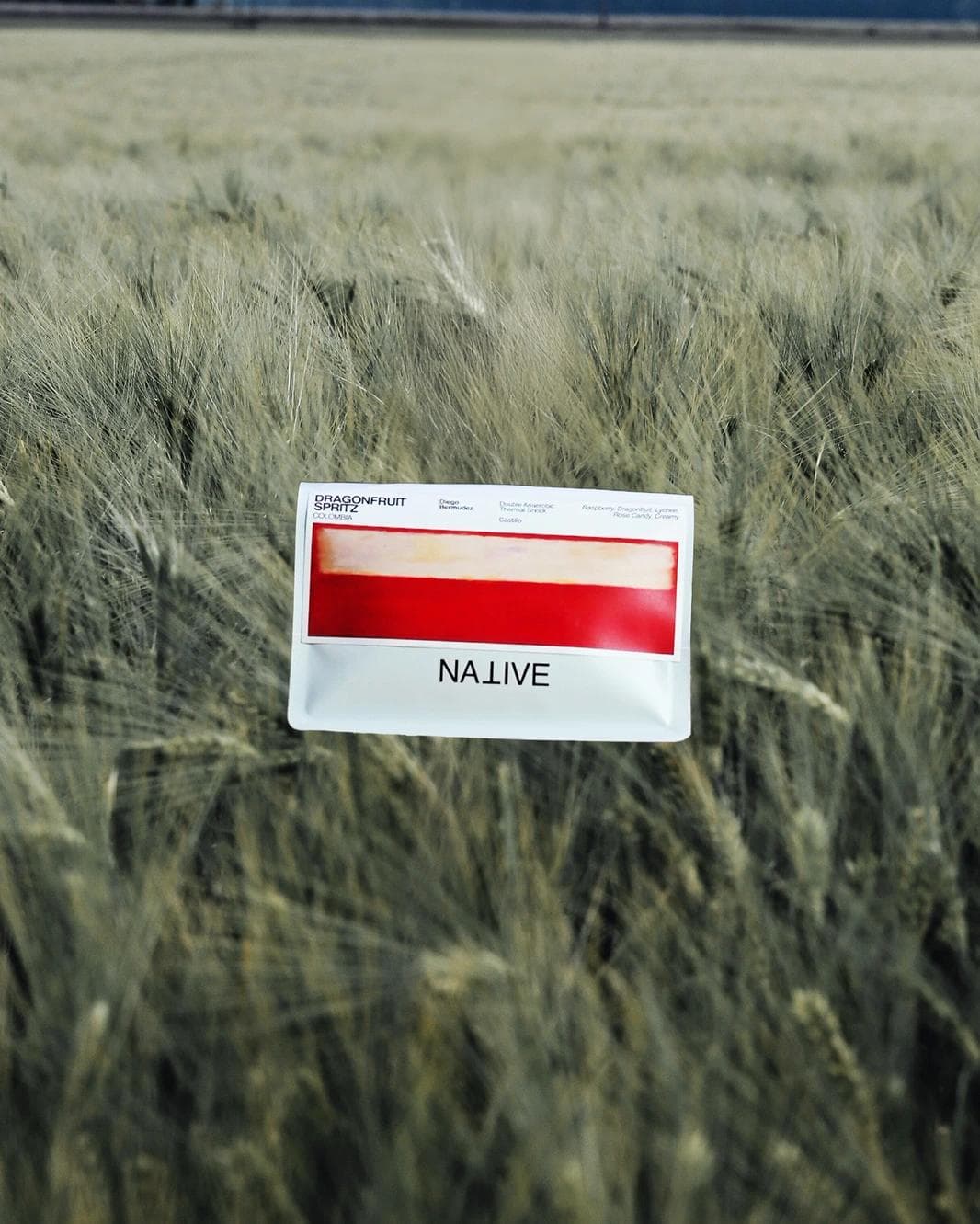 Image of Dragonfruit Spritz