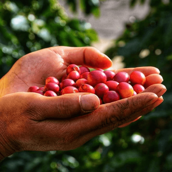 Image of Ou Yang Natural China