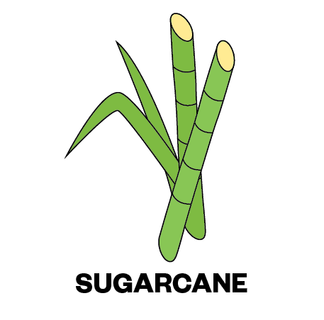 Image of Kenya Kii Ab