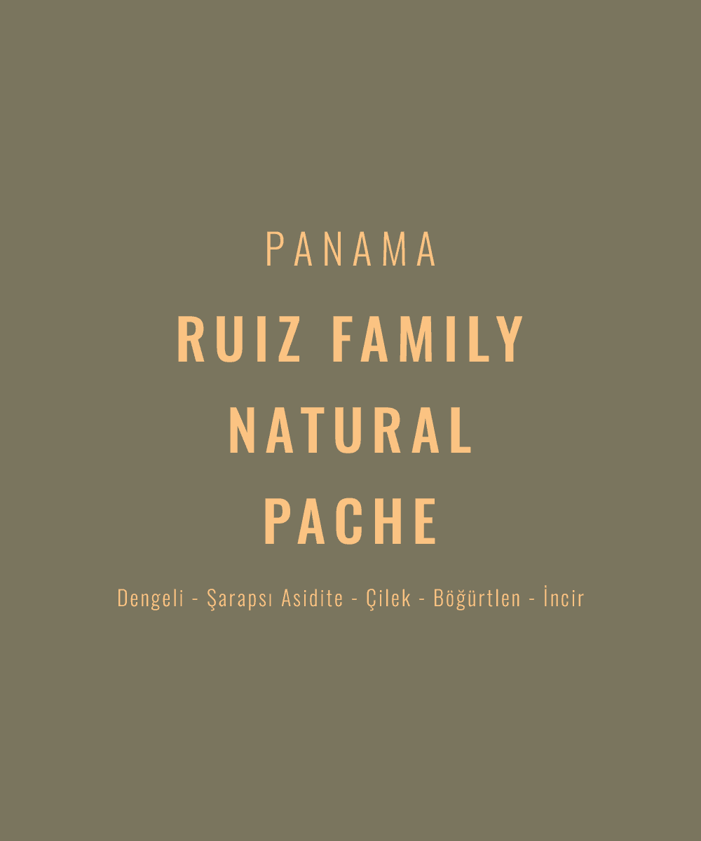 Image of Panama - Ruiz Family Natural Pache