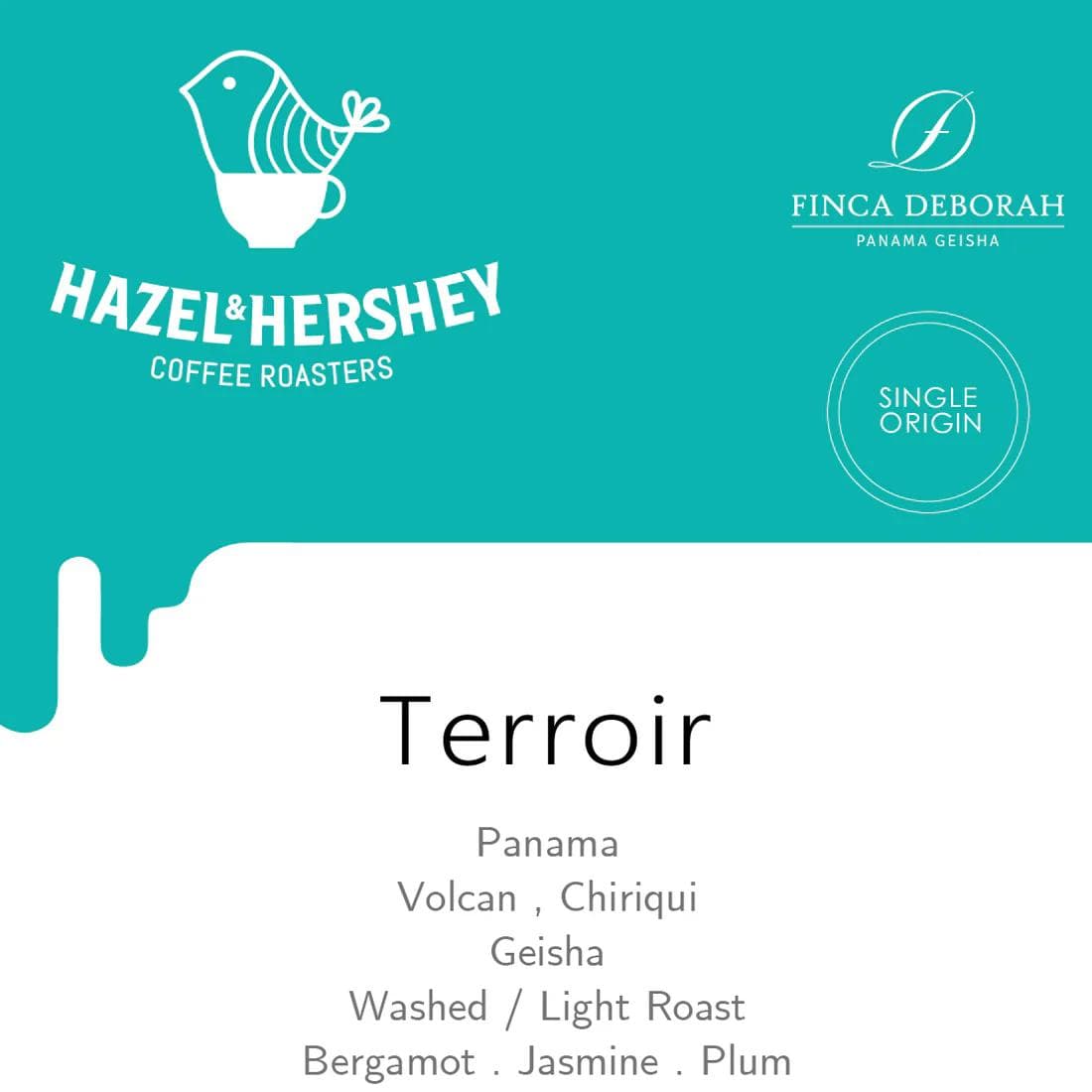 Image of Panama Savage Coffees Finca Deborah Terroir Geisha Washed