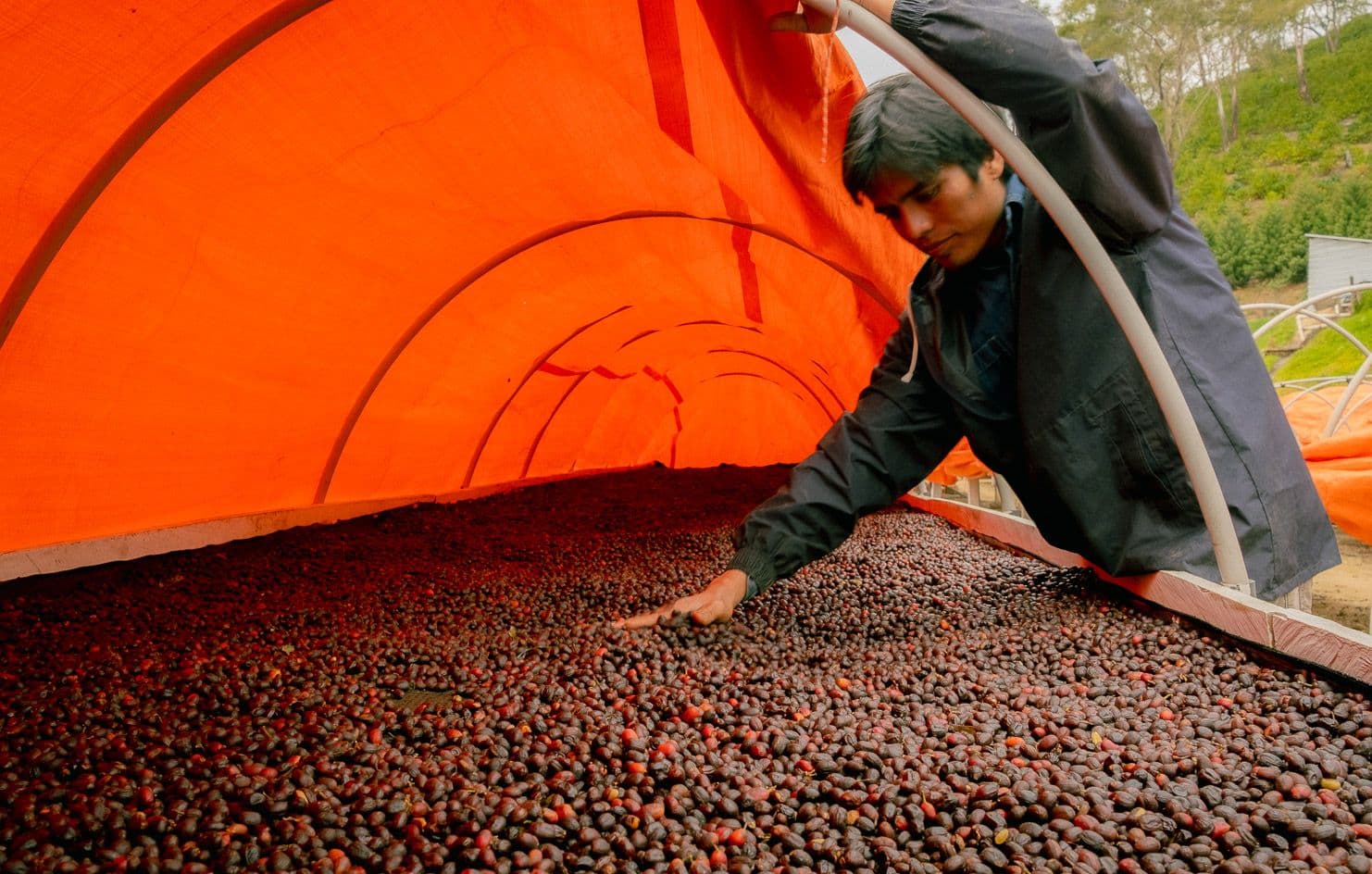 Image of Finca El Fuerte