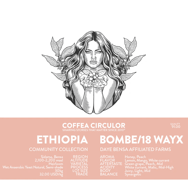 Image of Coffea Circulor - Ethiopia Bombe18 WAYX
