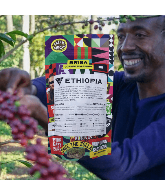 Image of Shakiso Filter Coffee 150gr