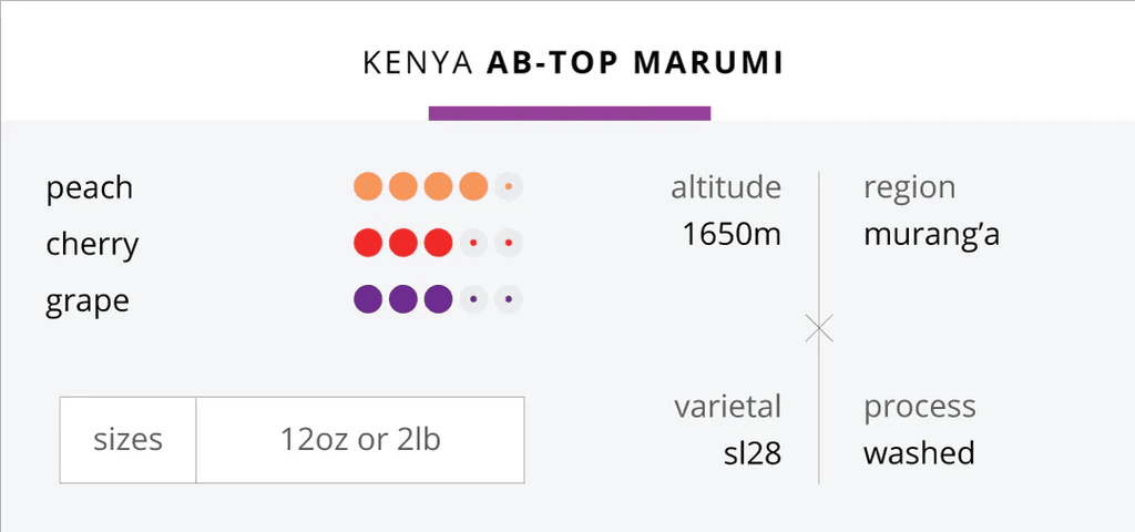 Image of Kenya AB-Top Marumi