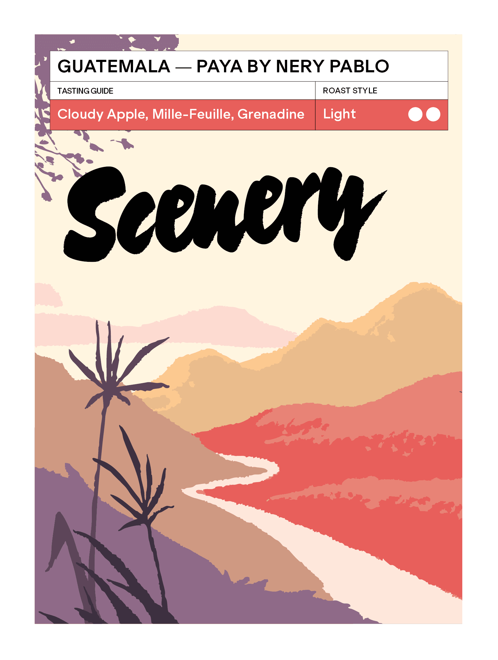 Image of Guatemala Paya by Nery Pablo