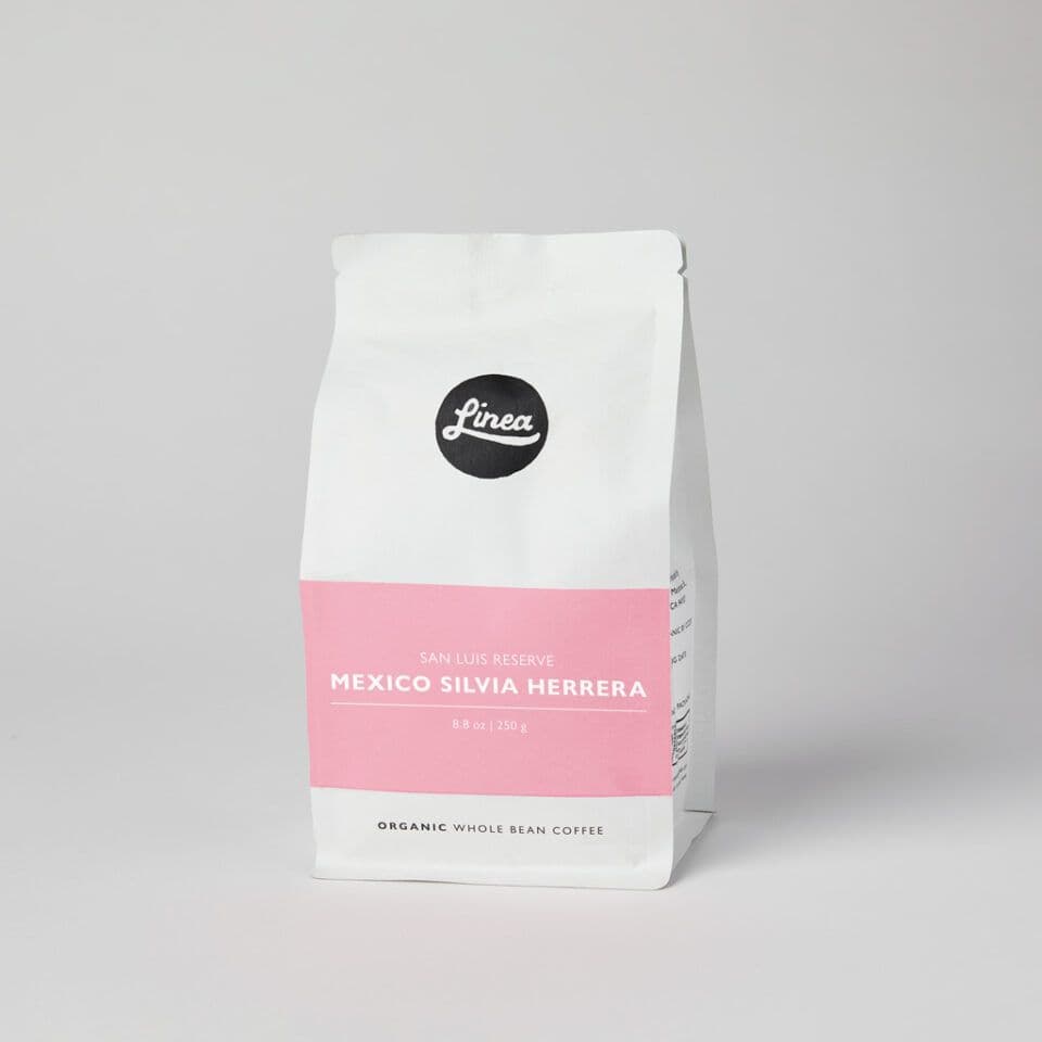 Image of Mexico Silvia Herrera