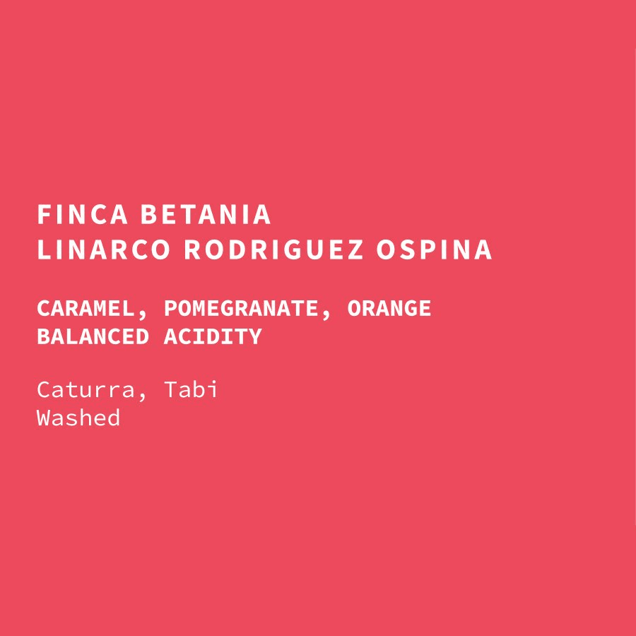 Image of Colombia Finca Betania