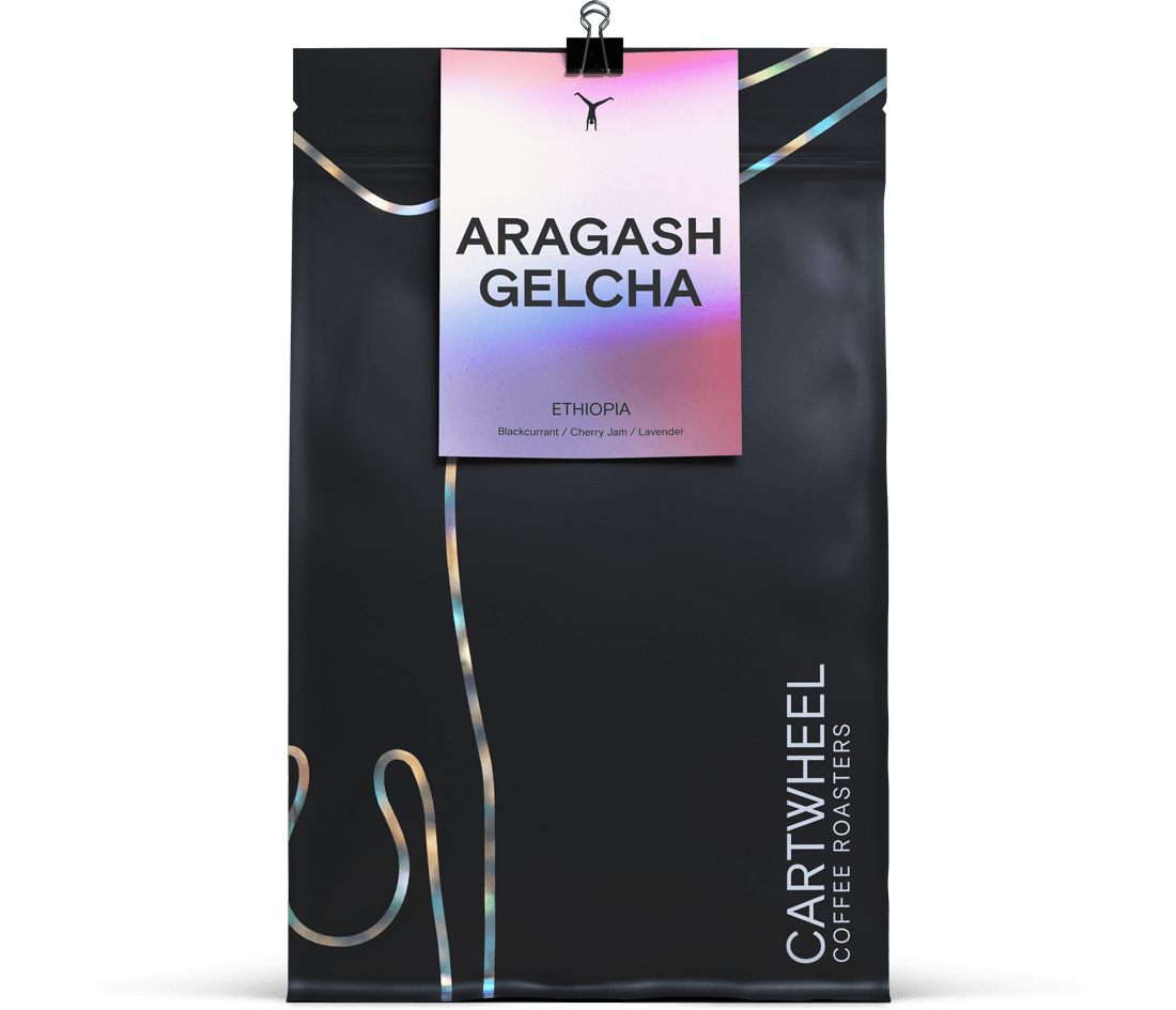 Image of Aragash Gelcha