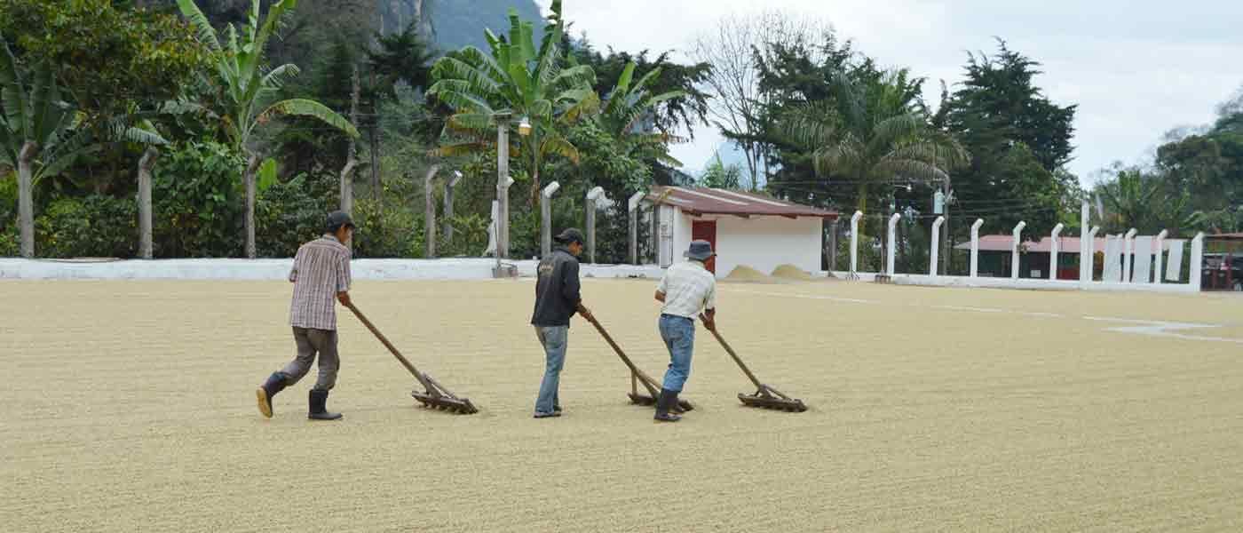 Image of Guatemala Los Encuentros