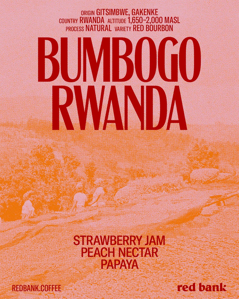 Image of Bumbogo
