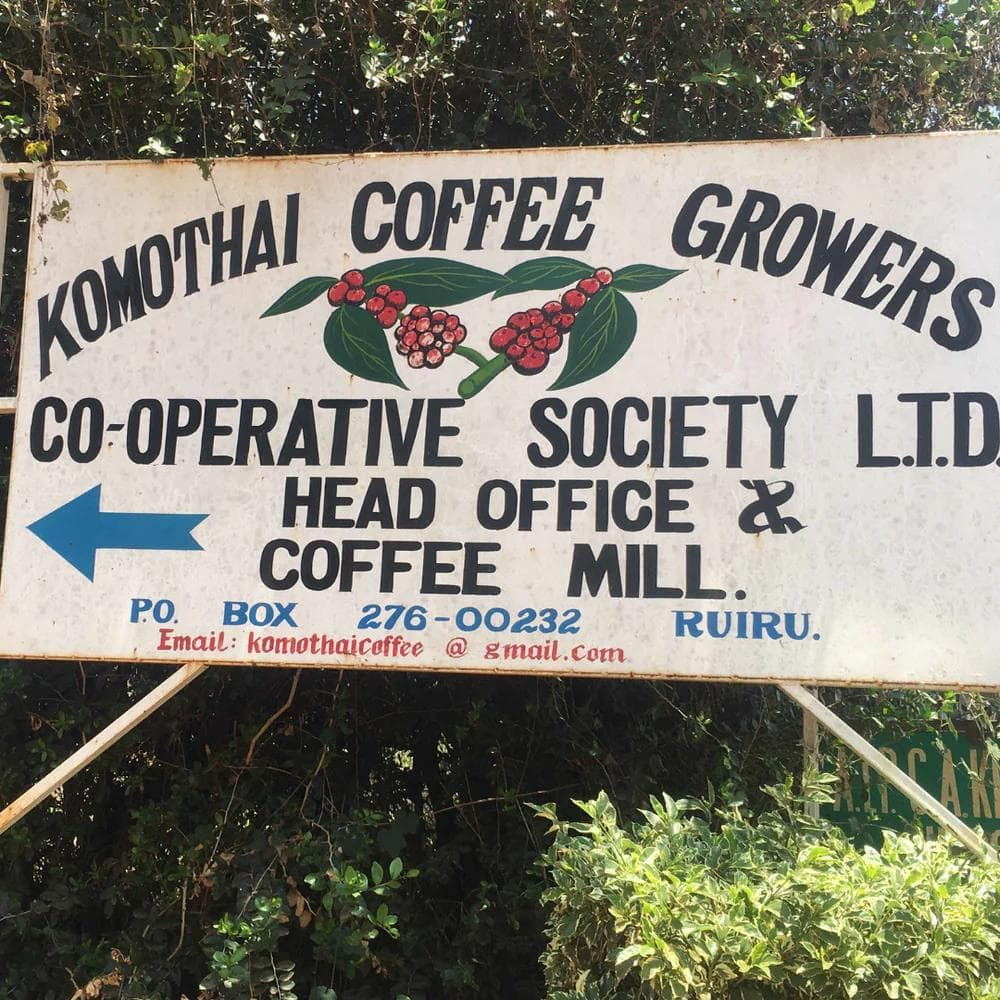 Image of Kenya - Kurokuro AA Top by Komothai FCS