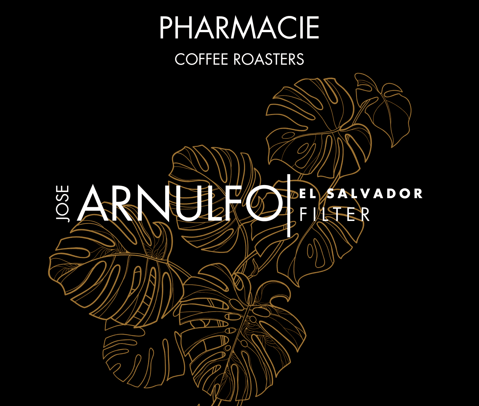 Image of Jose Arnulfo Montiel El Salvador - Filter