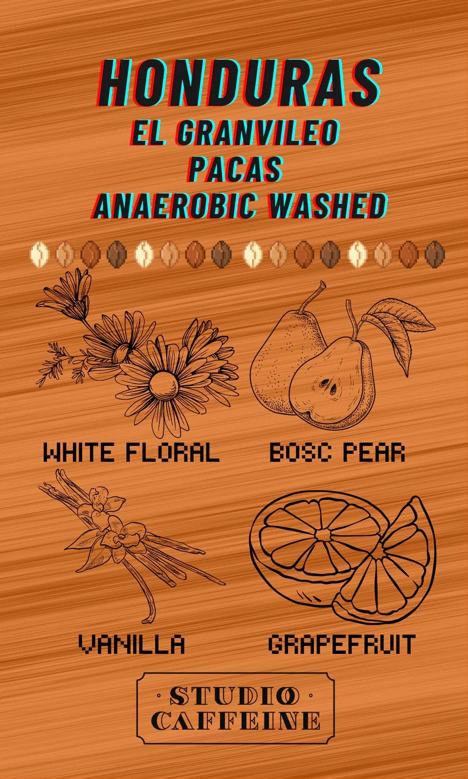 Image of Honduras El Granvileo Pacas Anaerobic Washed