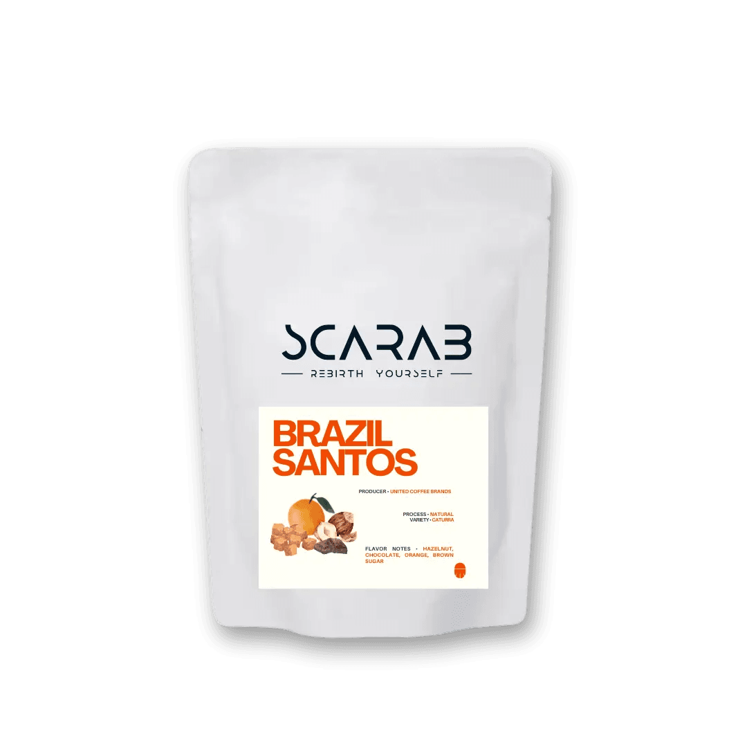 Image of Brazil Santos