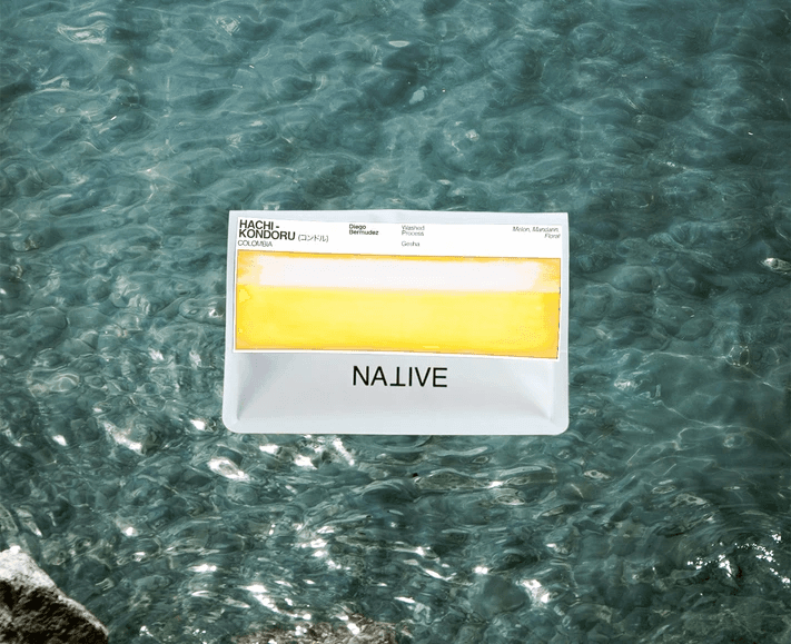 Image of Hachi - Kondoru