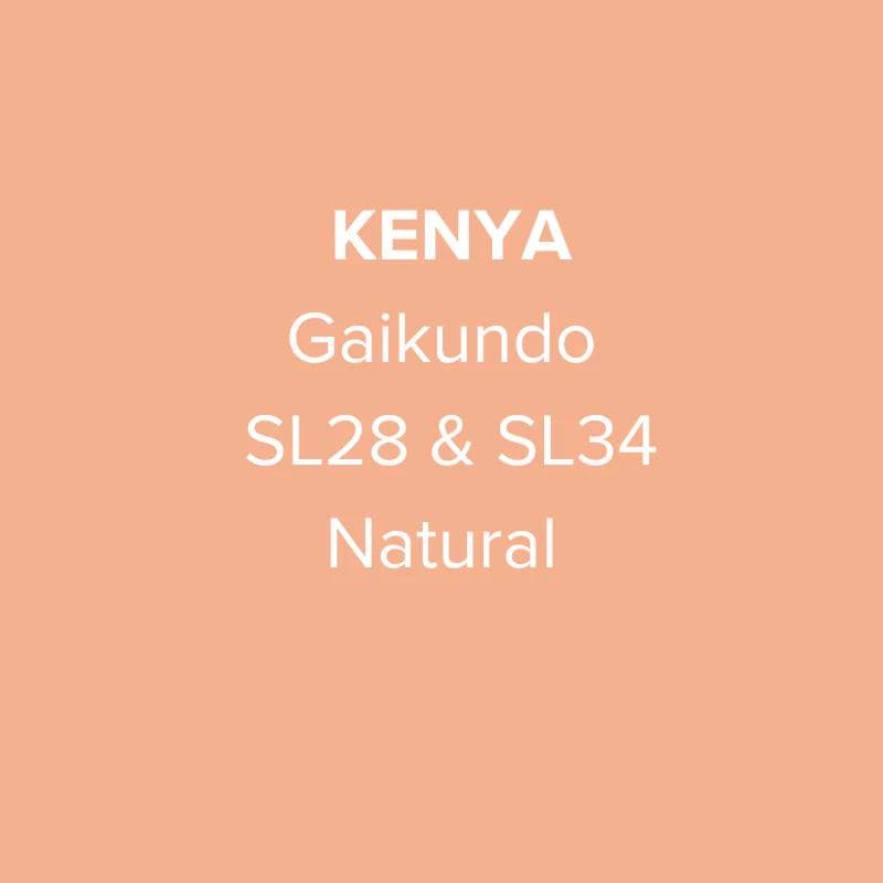 Image of Kenya Nyeri Gaikundo SL28 and SL34 Natural
