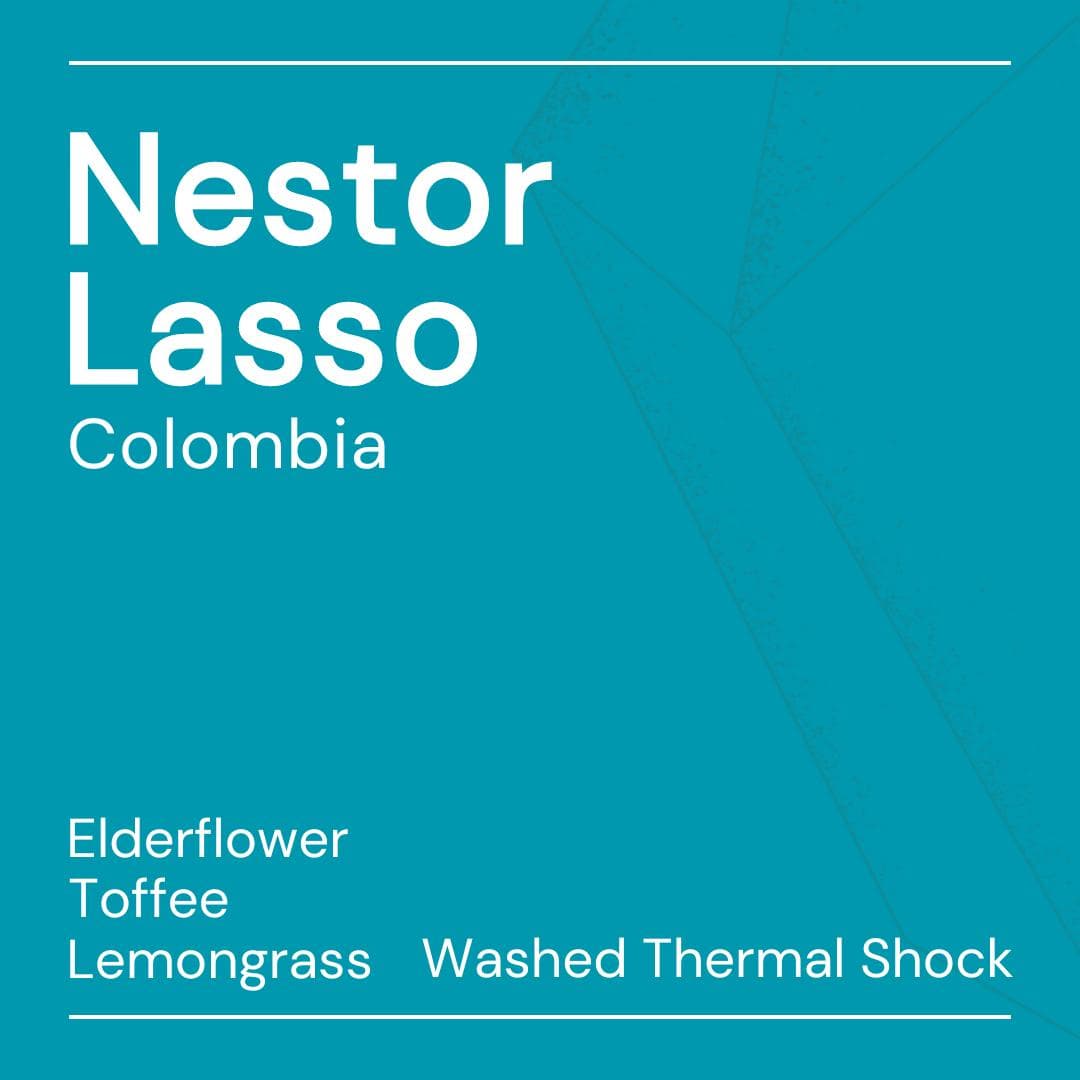 Image of Nestor Lasso