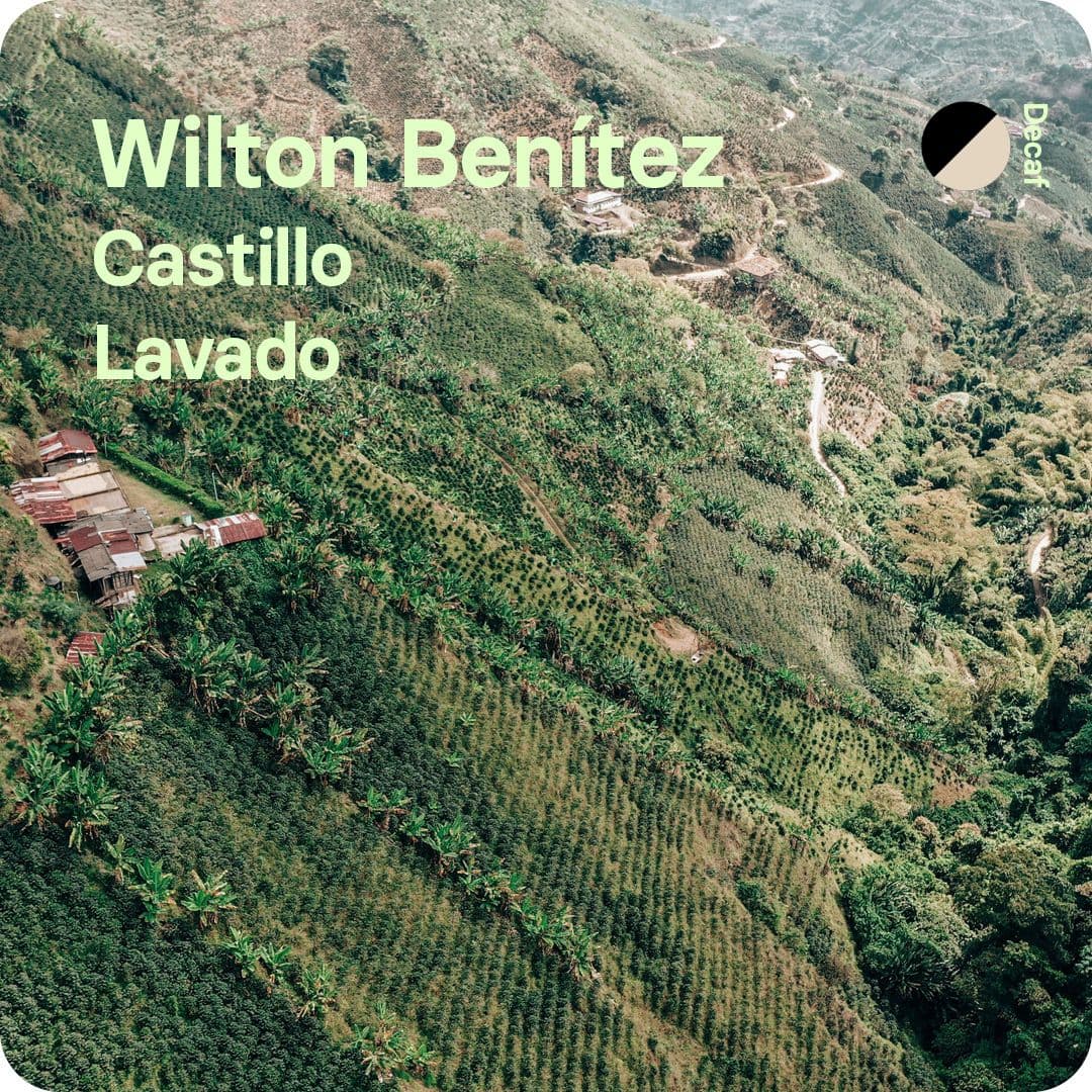 Image of Wilton Benitez Decaf Colombia