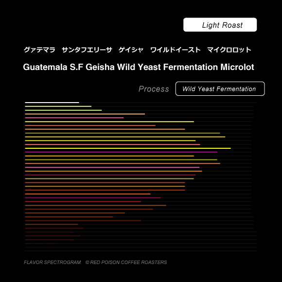 Image of SF Geisha Wild Yeast Fermentation