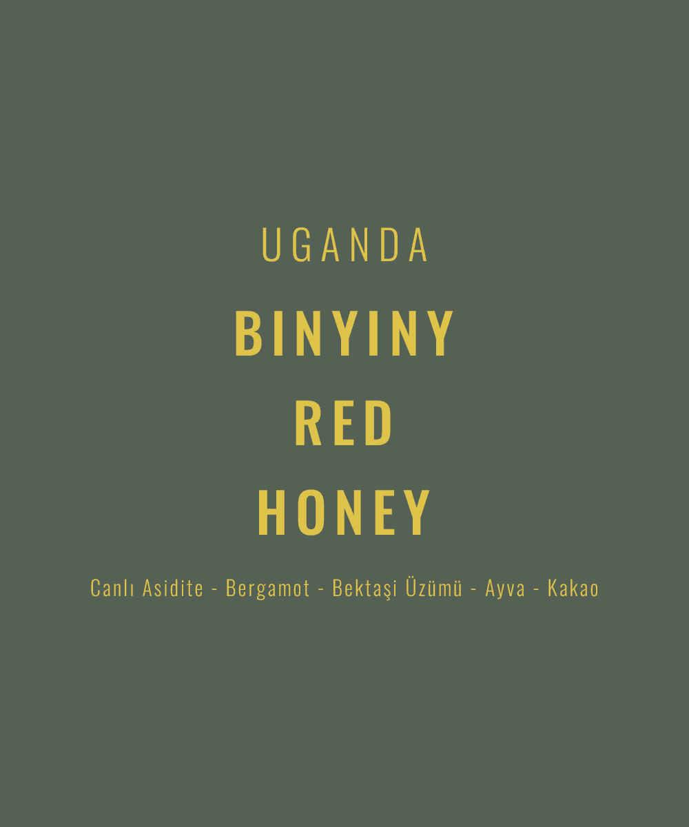 Image of Uganda - Binyiny Red Honey