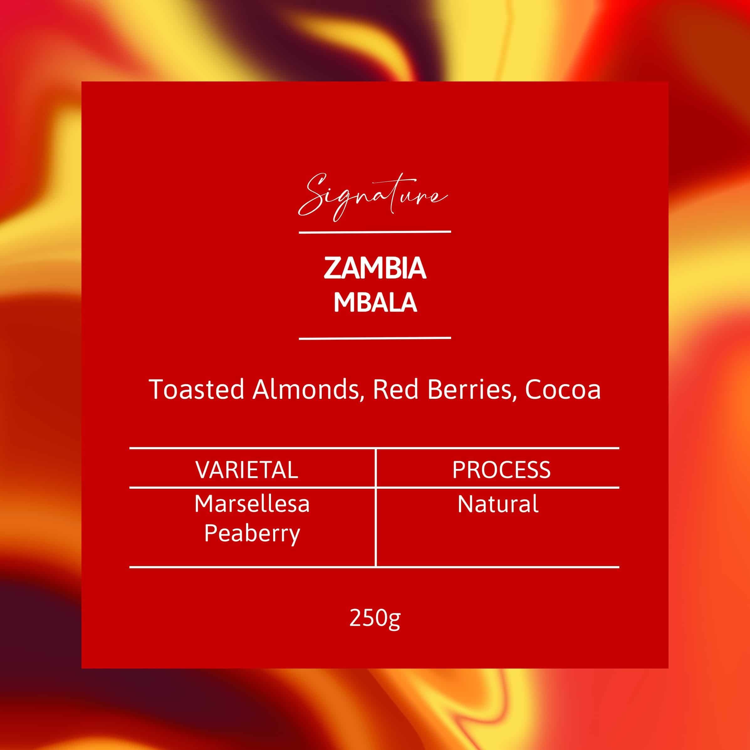 Image of Zambia Mbala Peaberry