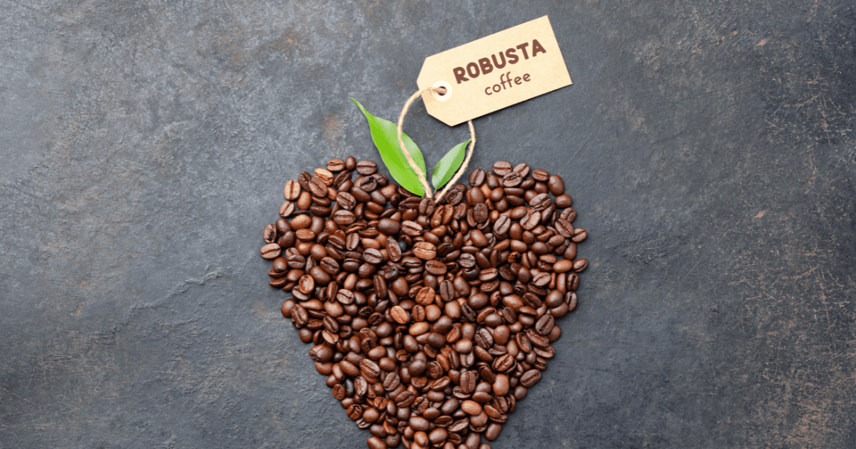 Image of Robusta Coffee