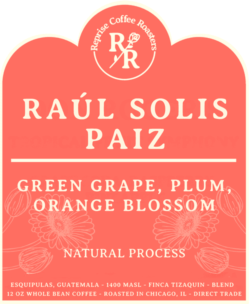 Image of Raul Solis Paiz - Esquipulas, Guatemala - Natural Process