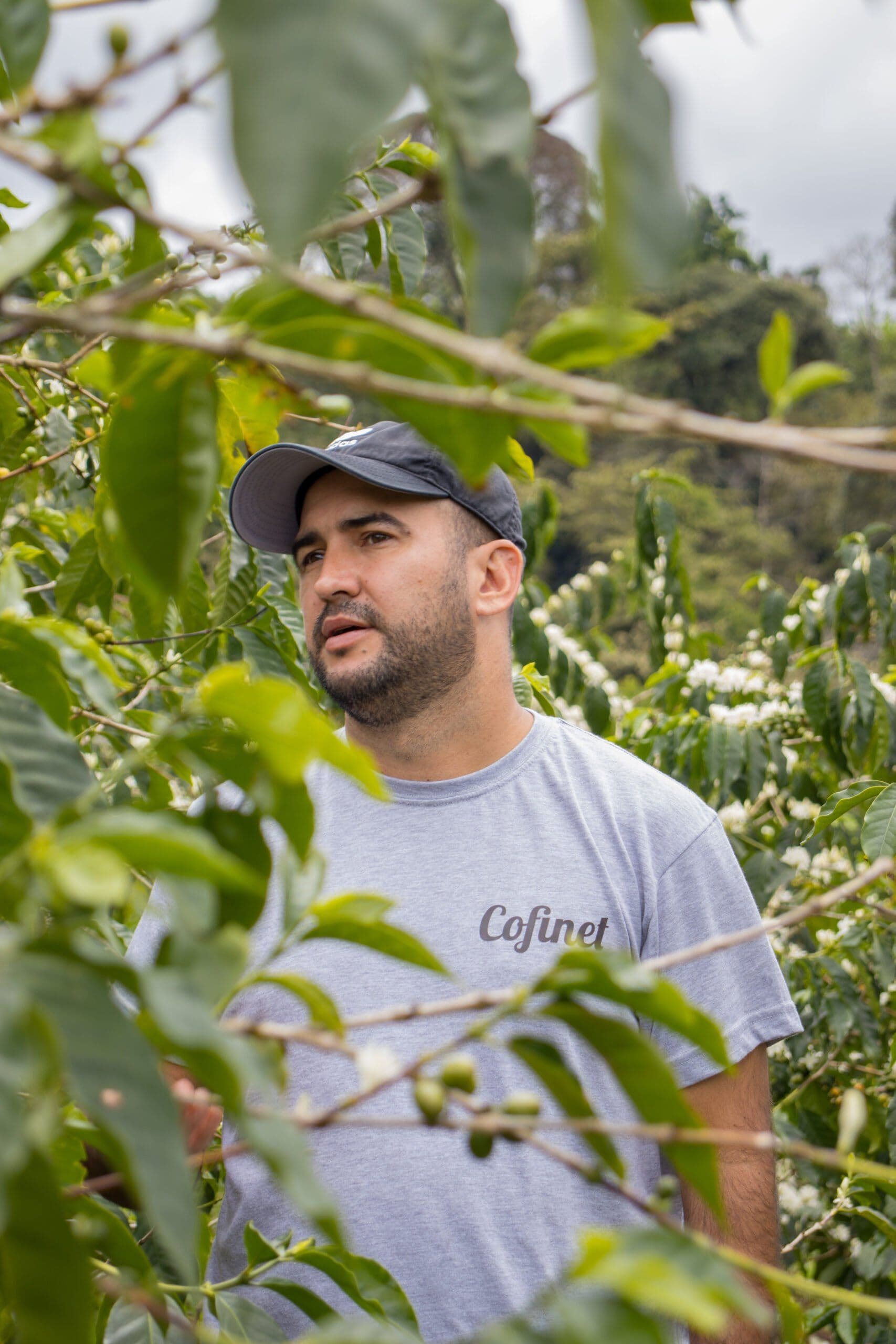 Image of Gardens Of Eden