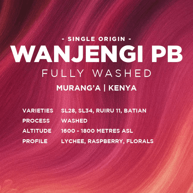 Image of Kenya Wanjengi PB