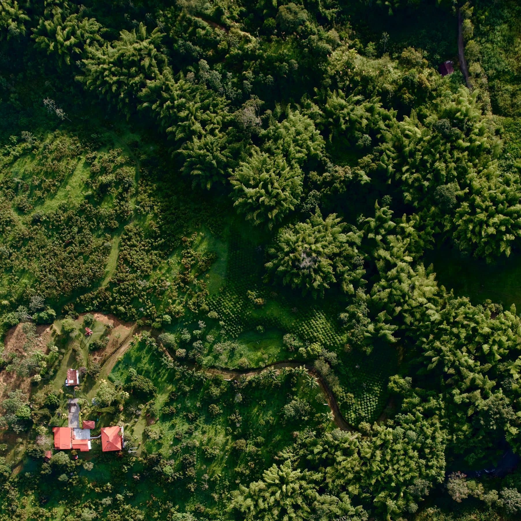 Image of Colombia Zest X Bayters Batch 227 Yeast BACT