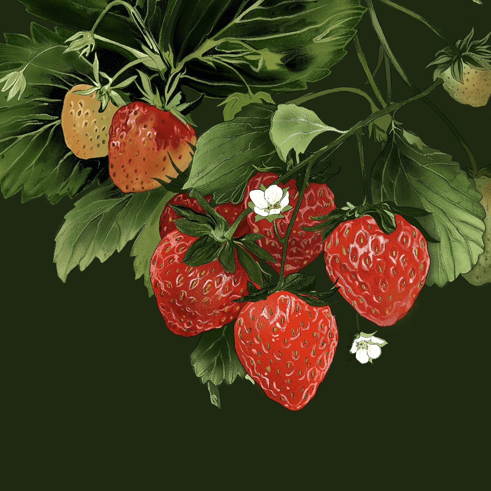 Image of Kmen Coffee Roasters