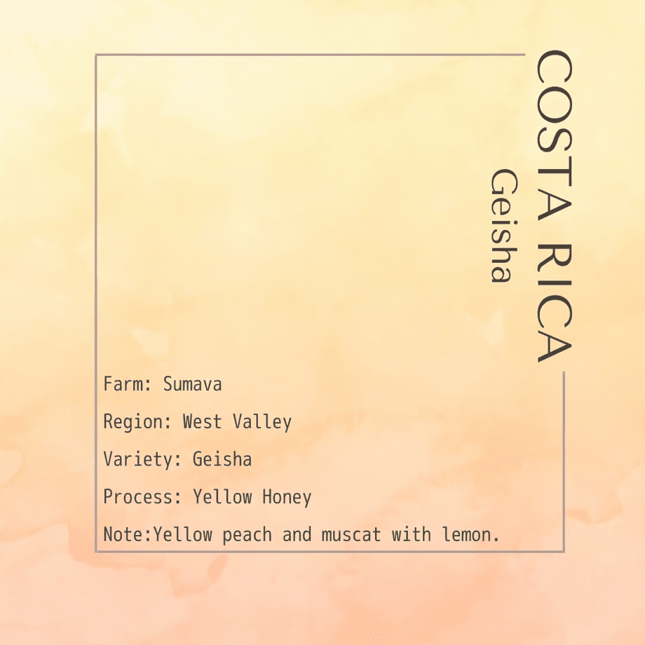 Image of Costa Rica Sumava Geisha - Yellow Honey