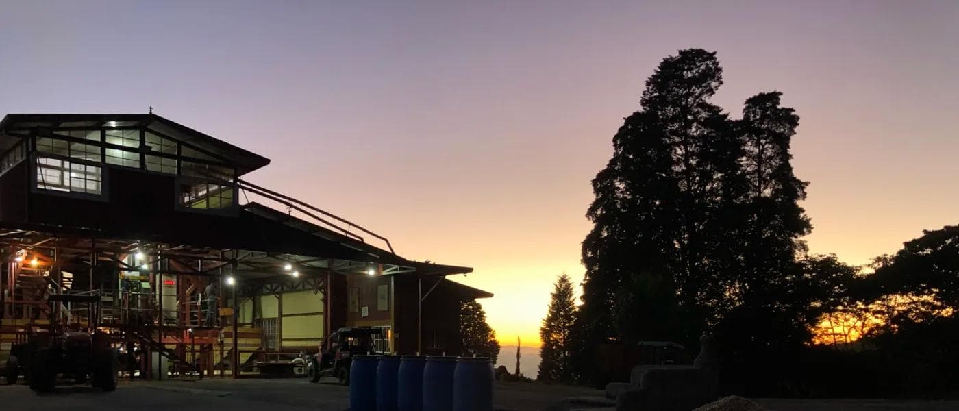 Image of Costa Rica Finca Volcán Azul Gesha