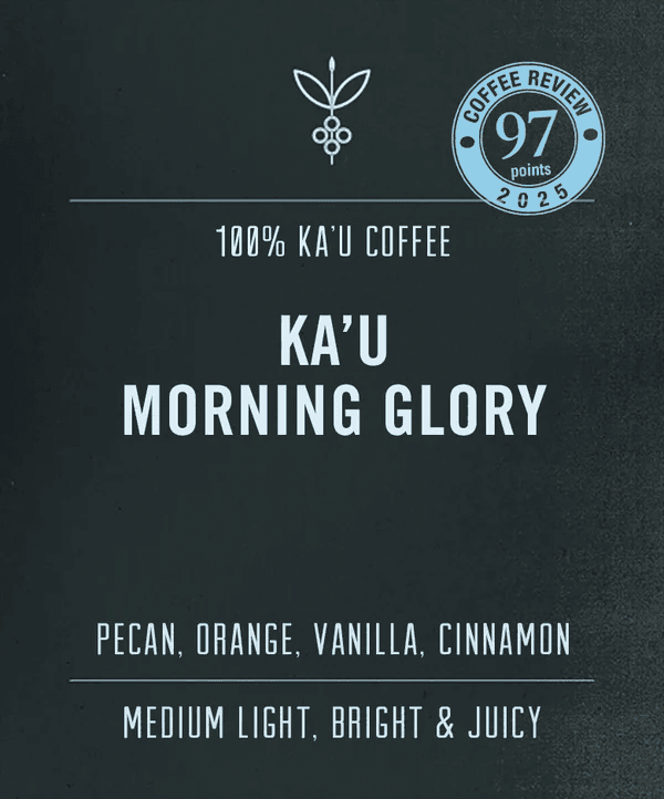 Image of Ka u Morning Glory