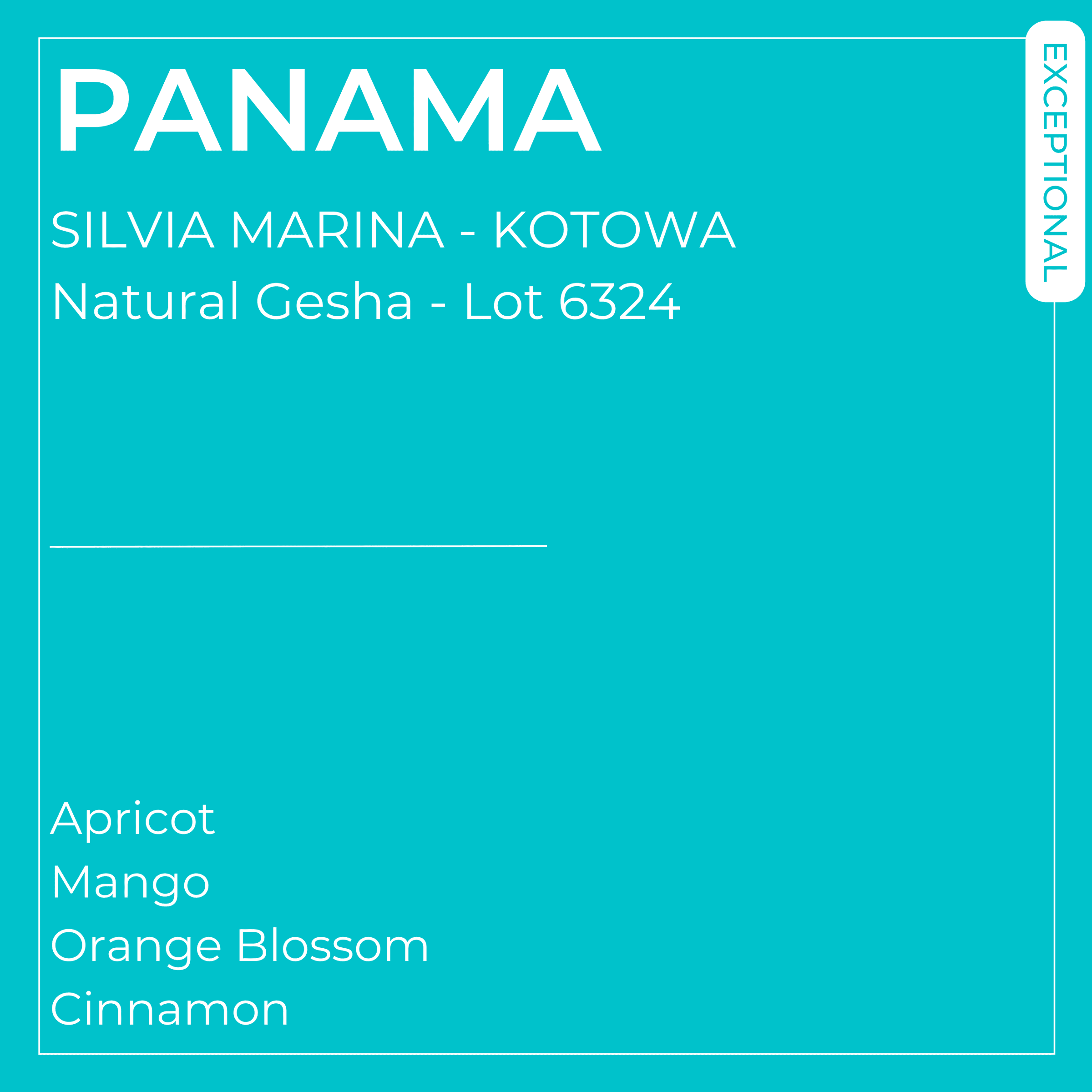 Image of Silvia Marina Natural Gesha