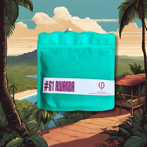 Image of Kawa ziarnista - Rwanda, Gicumbi District | Washed 