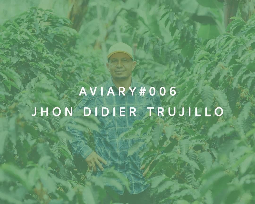 Image of 006 - Jhon Didier Trujillo