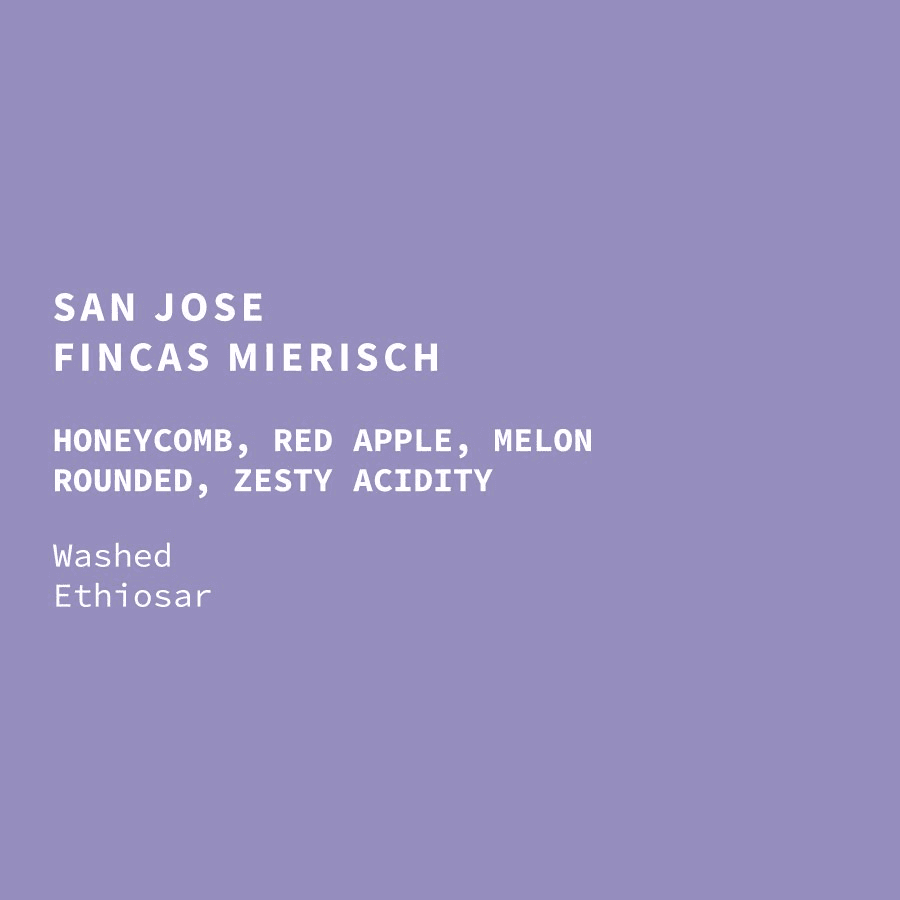 Image of Nicaragua Fincas Mierisch