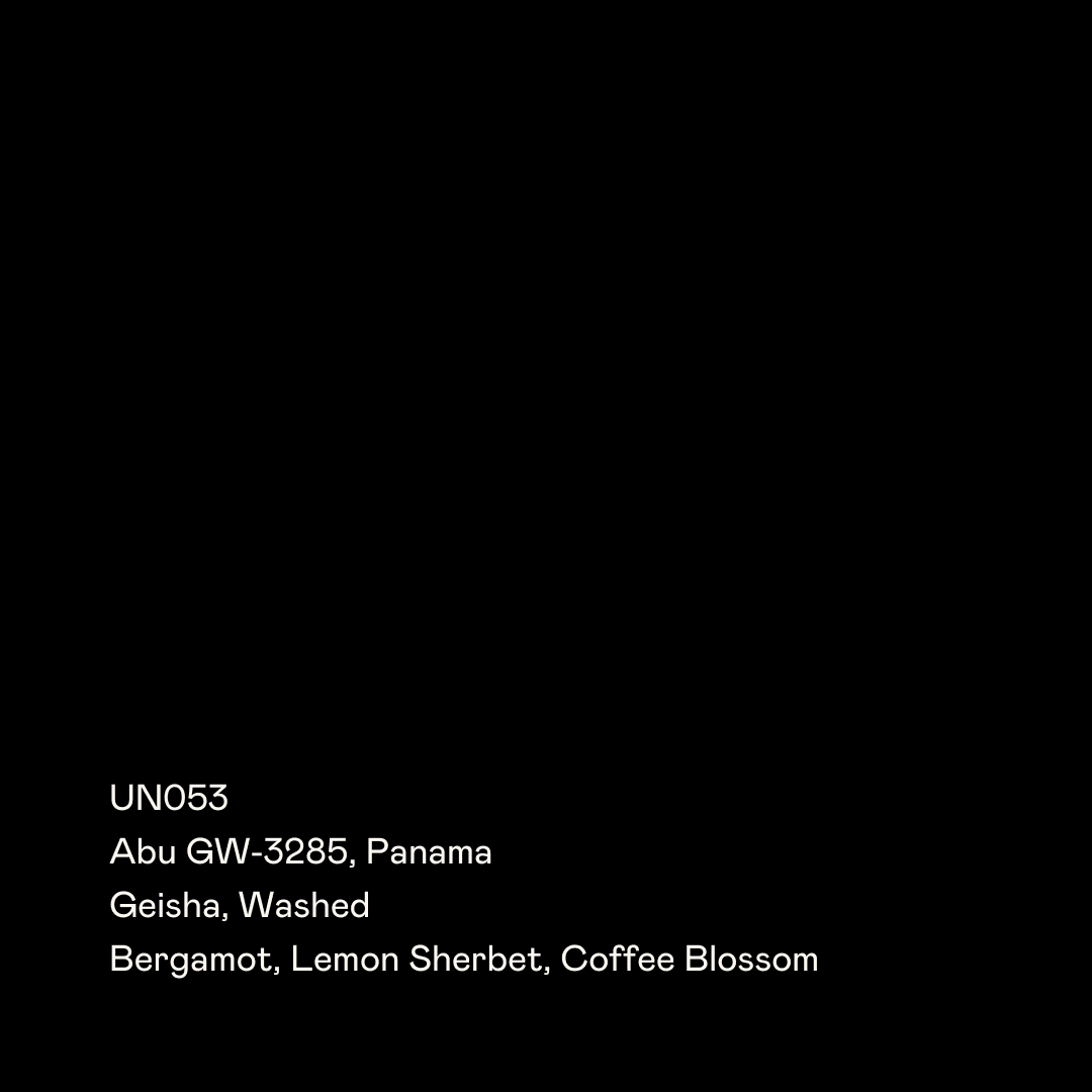 Image of Abu Gw-3285 Geisha Washed