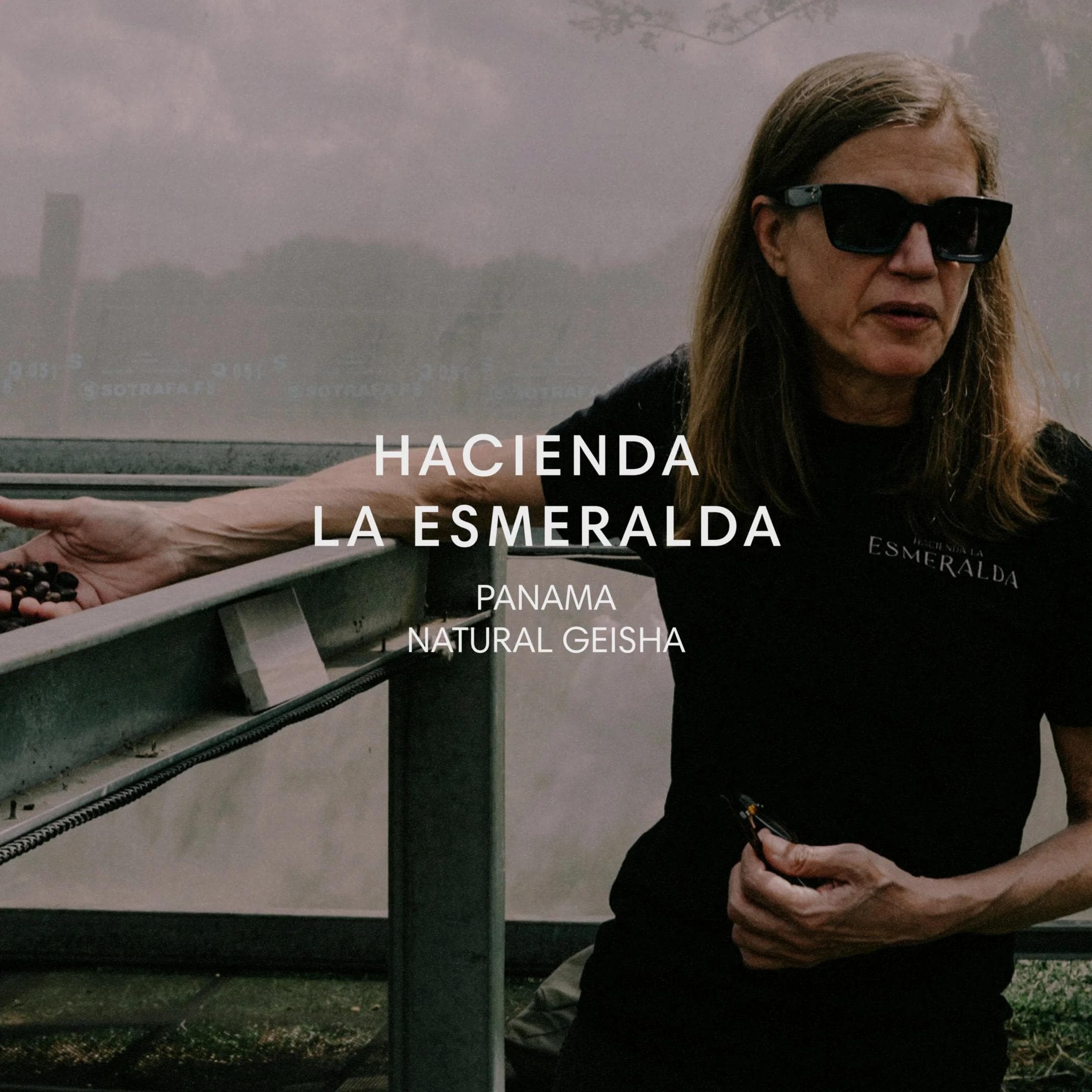 Image of Hacienda La Esmeralda